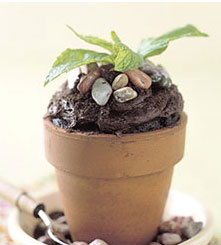 Martha Stewart flower pot cakes