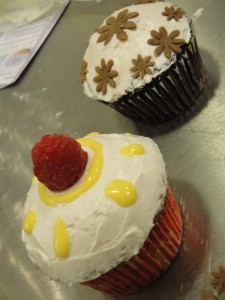 close-up-of-2-cupcakes